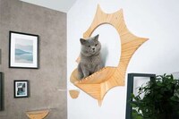 Timber Sun-Inspired Pet Perches Image 3