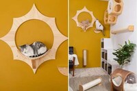 Timber Sun-Inspired Pet Perches Image 4