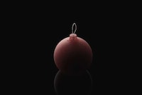 Biodegradable Holiday Decor Image 4