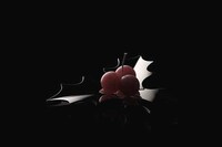 Biodegradable Holiday Decor Image 5
