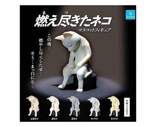 Humorous Cat Collectables