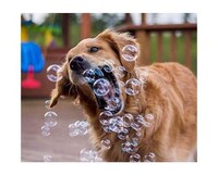 Pet-Friendly Flavored Bubbles Image 2