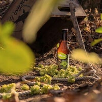 Hazily Hopped Unfiltered IPAs Image 1