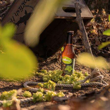 Hazily Hopped Unfiltered IPAs