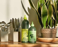 Squeezable Olive Oil Bottles Image 1