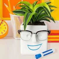 Multifunctional Plant Pots Image 2