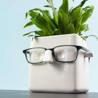 Multifunctional Plant Pots Image 3