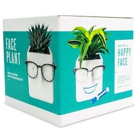 Multifunctional Plant Pots Image 4