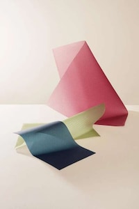 Fruit-Based Leather Alternatives Image 2