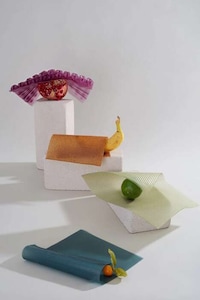 Fruit-Based Leather Alternatives Image 4