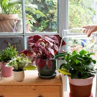 Mess-Free Gardening Tools