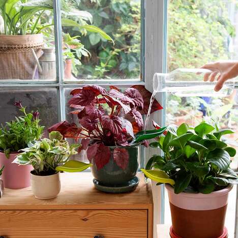 Mess-Free Gardening Tools