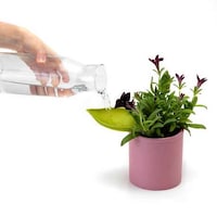 Mess-Free Gardening Tools Image 4