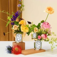 Artichoke-Scented Fragrances Image 3