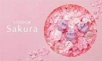 Cherry Blossom Chocolates Image 1