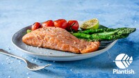 3D-Printed Salmon Alternatives