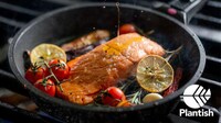 3D-Printed Salmon Alternatives Image 2