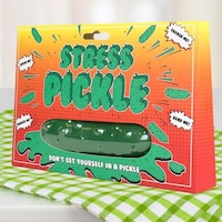 Food-Shaped Fidget Toys