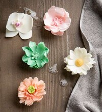 Botanical Artisan Soaps