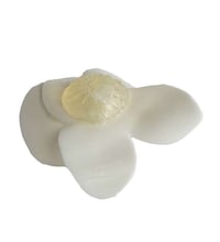 Botanical Artisan Soaps Image 5