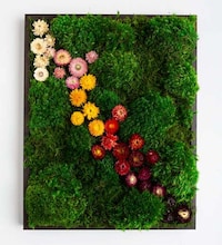Nature-Inspired Home Decor Image 2