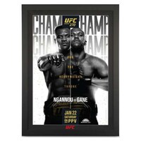 Multifaceted MMA Memorabilia Platforms Image 2