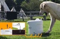 Automated Canine Fetch Toys Image 1