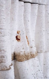 3D-Printed Mycelium Columns Image 4