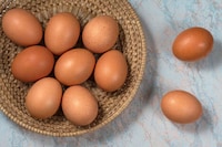 Powdered Egg Substitutions Image 1