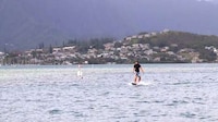Multipurpose Modular Watersports Boards Image 3