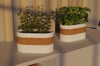 Climate-Controlled Planters Image 5