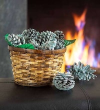 Unusual Fireplace Accessories Image 5