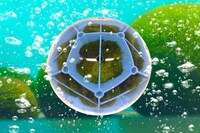 Algae-Powered Rover Robots Image 2