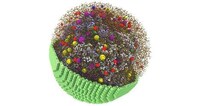 Digitally Simulated Living Cells