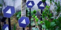 Biophilic Garden Lights Image 4