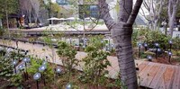 Biophilic Garden Lights Image 6
