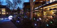 Biophilic Garden Lights Image 8