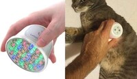 Pet Pain Relief Devices Image 1