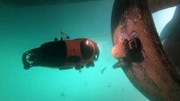 Multitasking Underwater Drones Image 5