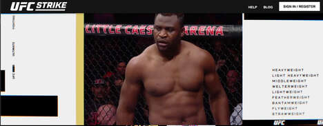 MMA NFT Collections