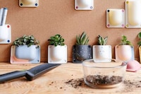 Vertical Workstation Wall Planters Image 2