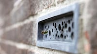 Bee-Friendly Bricks Image 1