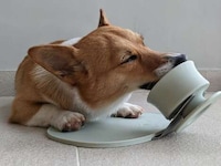 Mess-Free Canine Treat Holders Image 5