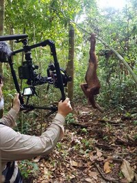 Immersive Nature Documentaries Image 3