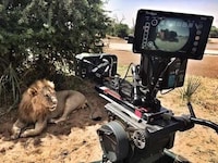 Immersive Nature Documentaries Image 6