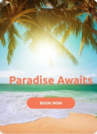 Idyllic Island Tours
