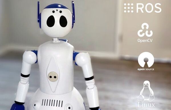 Open-Source AI Companion Robots