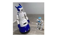 Open-Source AI Companion Robots Image 2