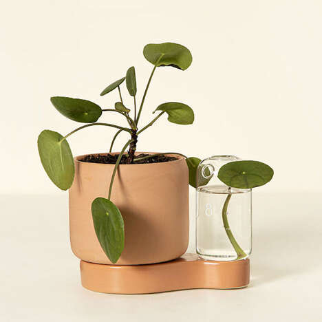 Two-in-One Plant Pots