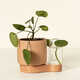 Two-in-One Plant Pots Image 1